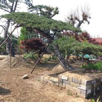 <img src=upfile/images/2025/02/25/small3_17404680378575316.jpg height=300>